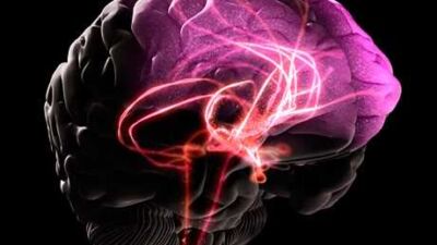 brain cells