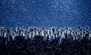 opening ceremony performers 2