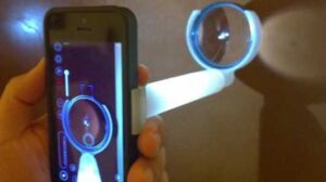 eyego