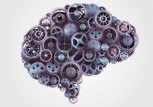 Cognitive Fingerprints brain