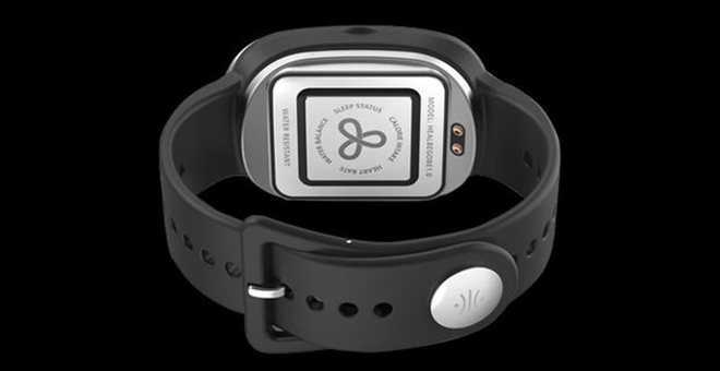GoBe calorie counter wearable
