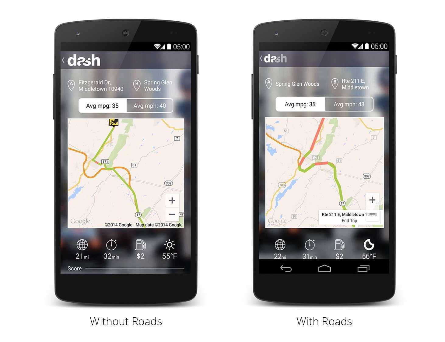 Google Maps Roads API