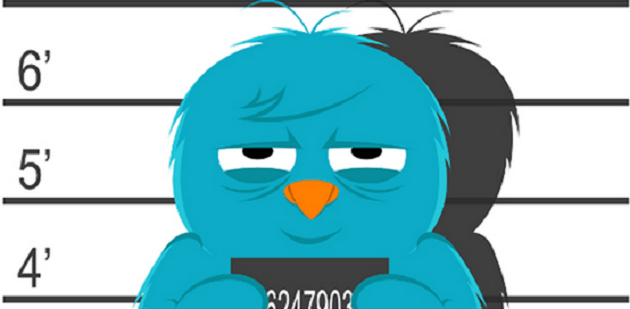 fake followers