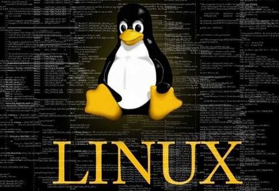 linux-command-rename-folder