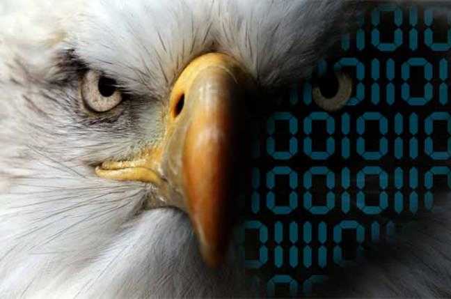 nsa eagle