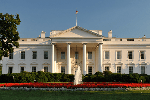 CozyDuke white house
