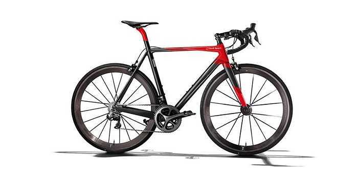 Audi Sport Racing Bike