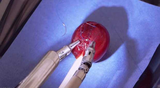 Surgery Robot Operates on a Wounded Grape