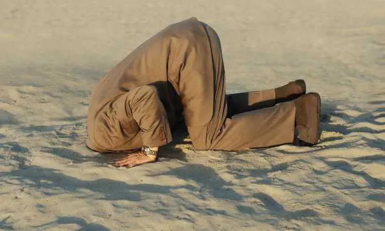 head in the sand