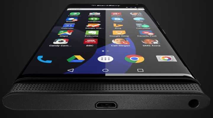 blackberry venice