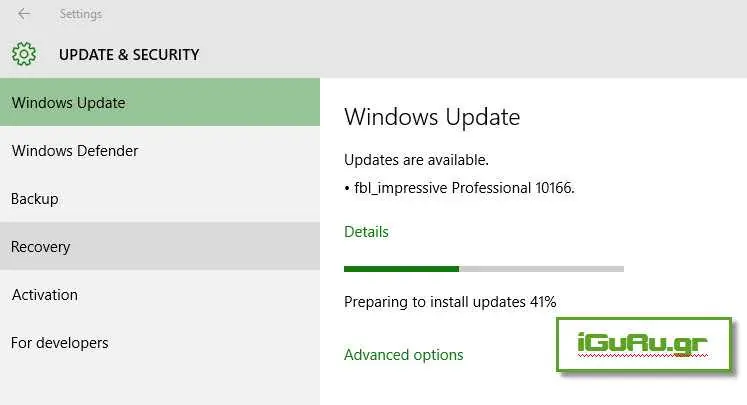 windows 10 Professional 10166