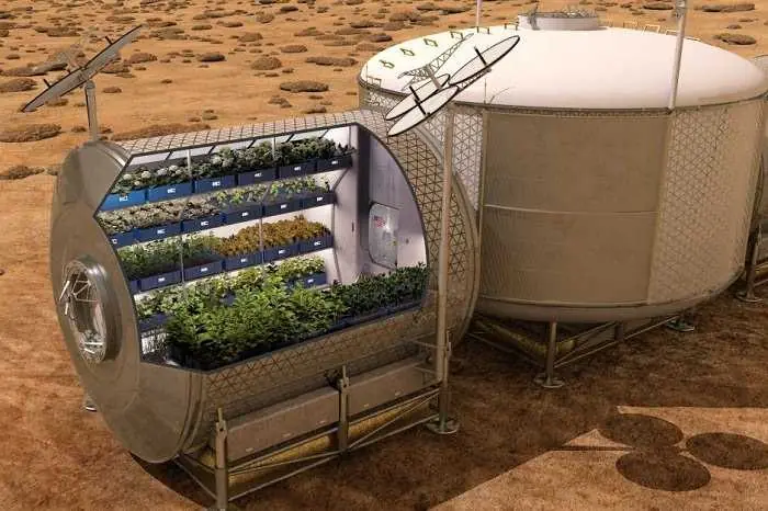 nasa veggie
