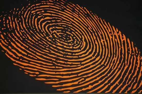fingerprint OPM