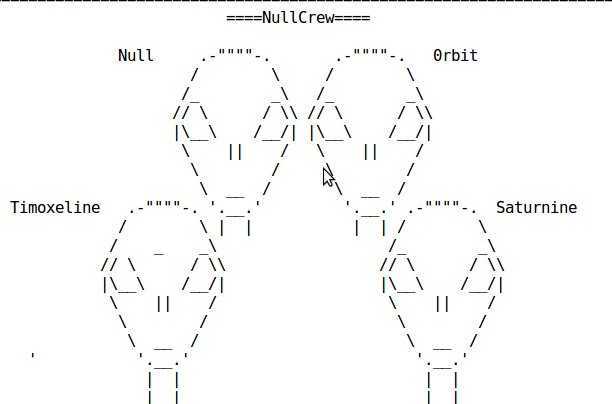 Nullcrew hackers