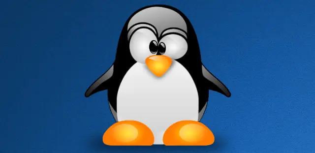 new-kernel