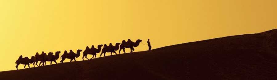 Silk Road