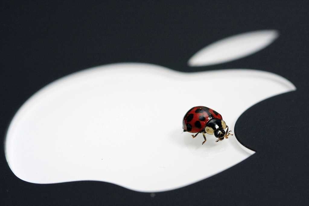 Apple bug CVE