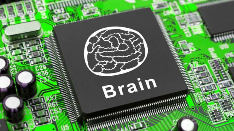 brain Nick Bostrom