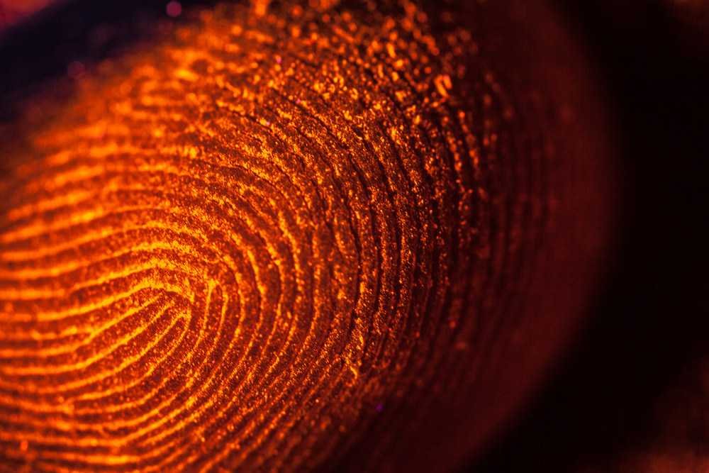 fingerprint δακτυλικό αποτύπωμα
