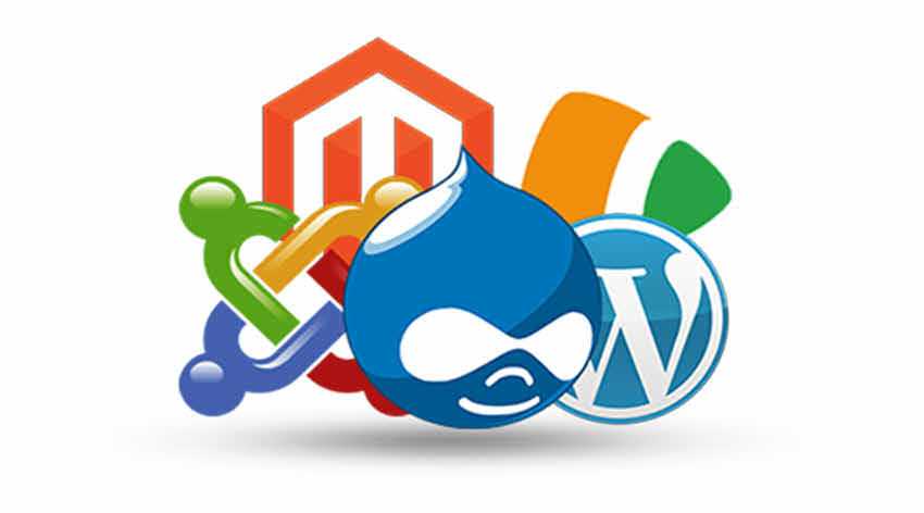 CMS WordPress