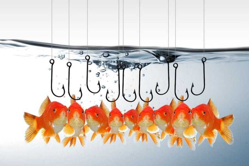 phishing