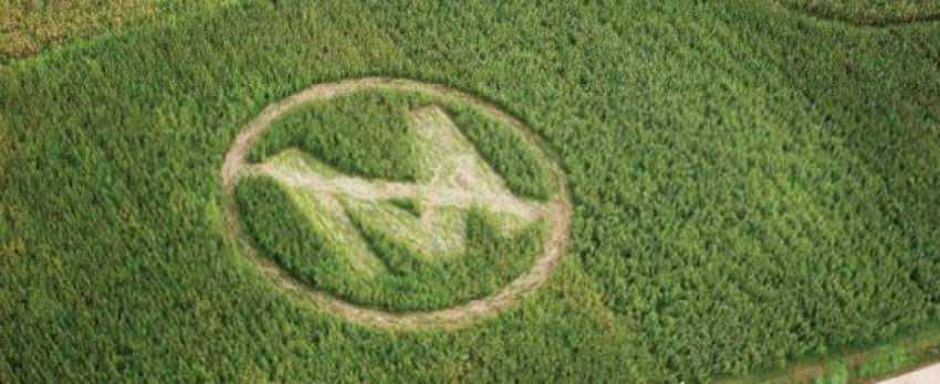 Monsanto