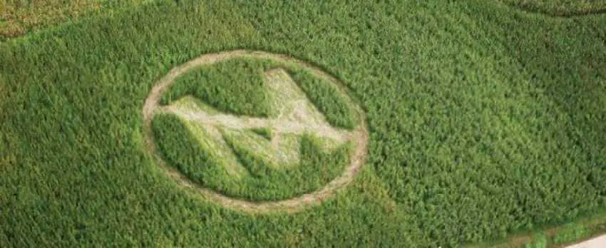 Monsanto
