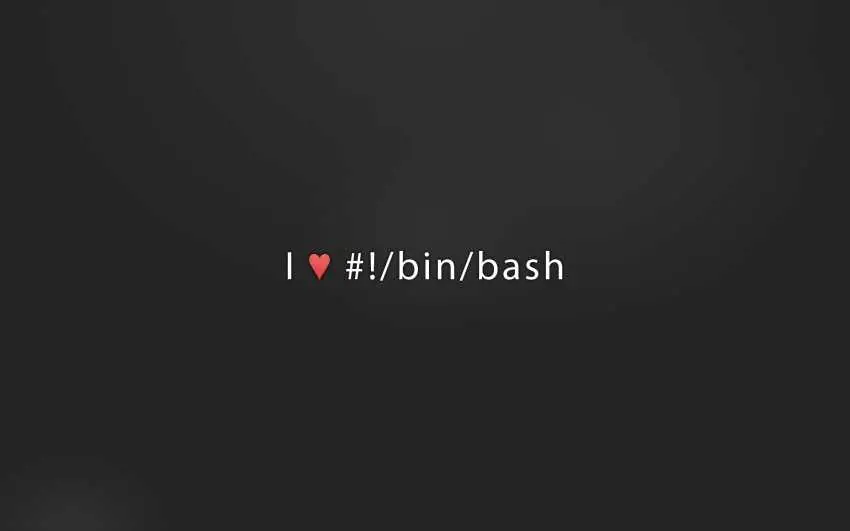bin bash