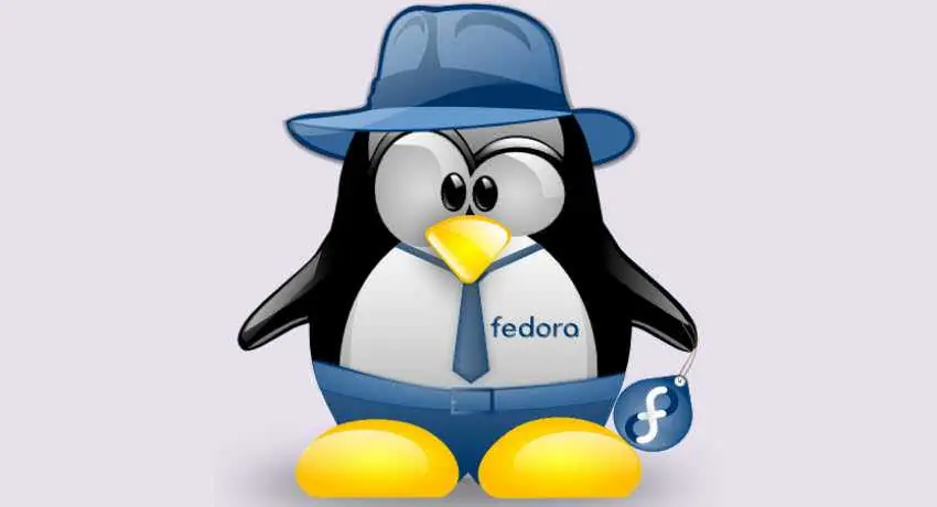 fedora 24