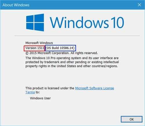 winver Windows 10