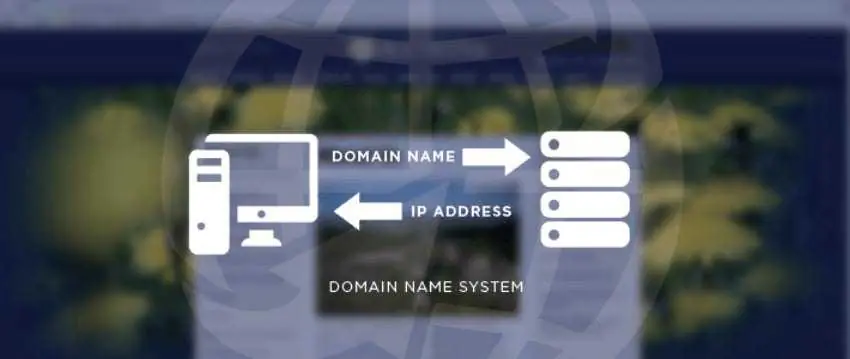 dns