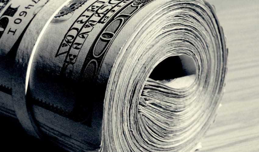 money bug bounty