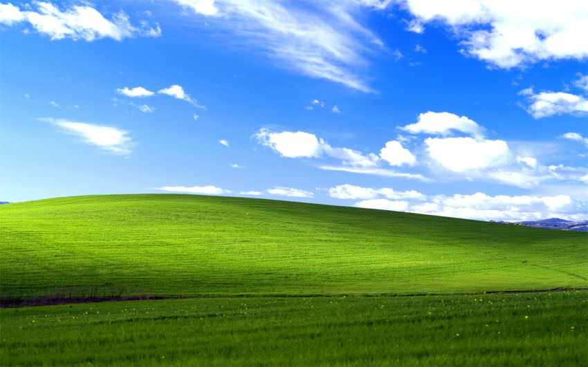 windows xp