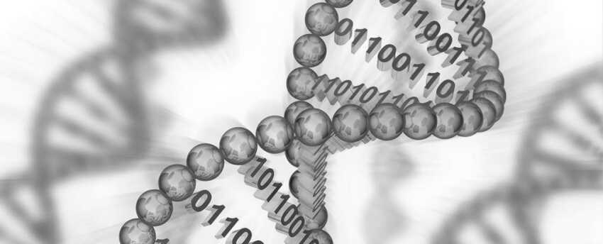 DNA