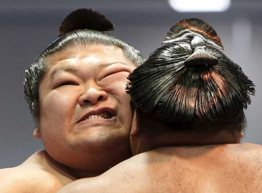 Sumo
