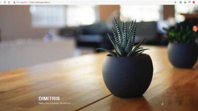 Wordpress