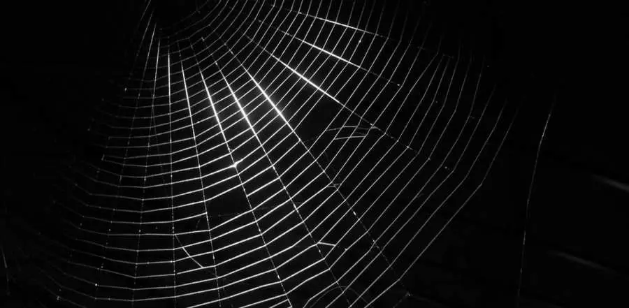WorldWideWeb