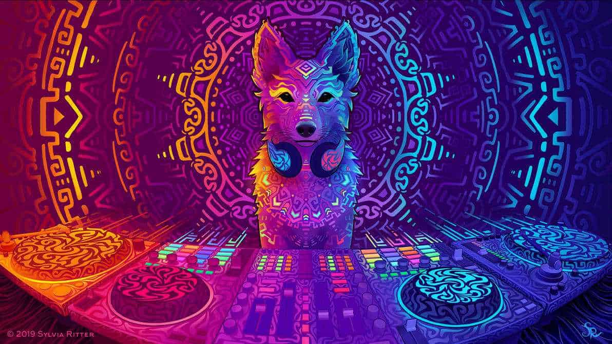 Ubuntu 19