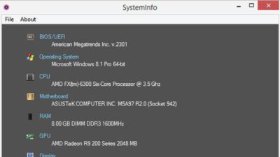 SystemInfo