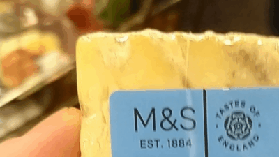 cheese