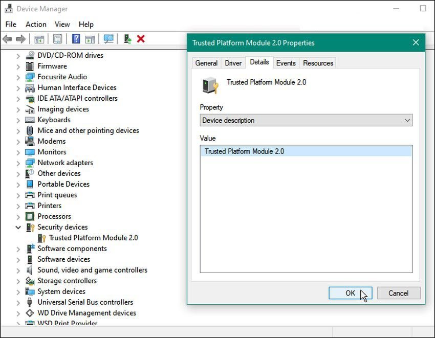 tpm device manager check