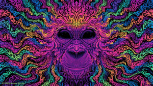 de2mhos 5617f7d9 9f35 4a3e a0a0 4098bcfd97f5 jpg