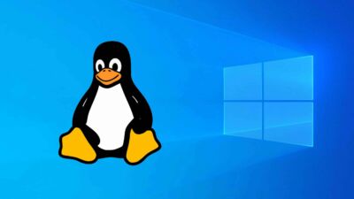 windows linux