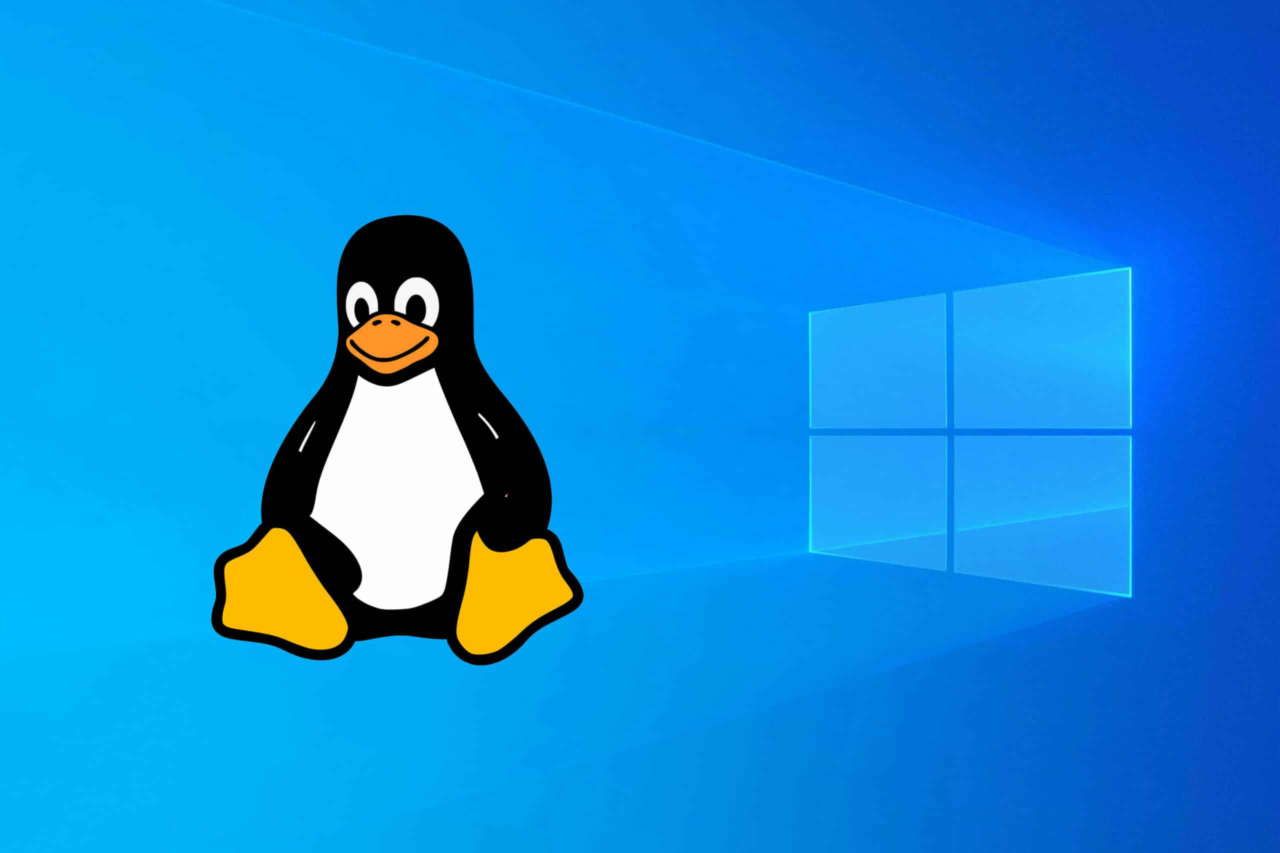windows linux