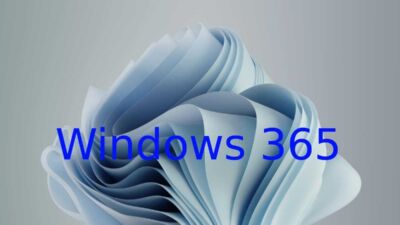 windows 365