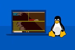 windows linux