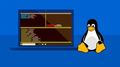 windows linux