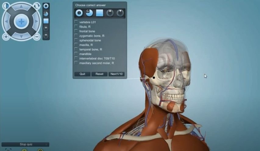 anatronicapro human anatomy