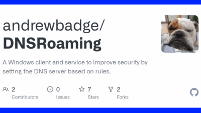 dnsroaming