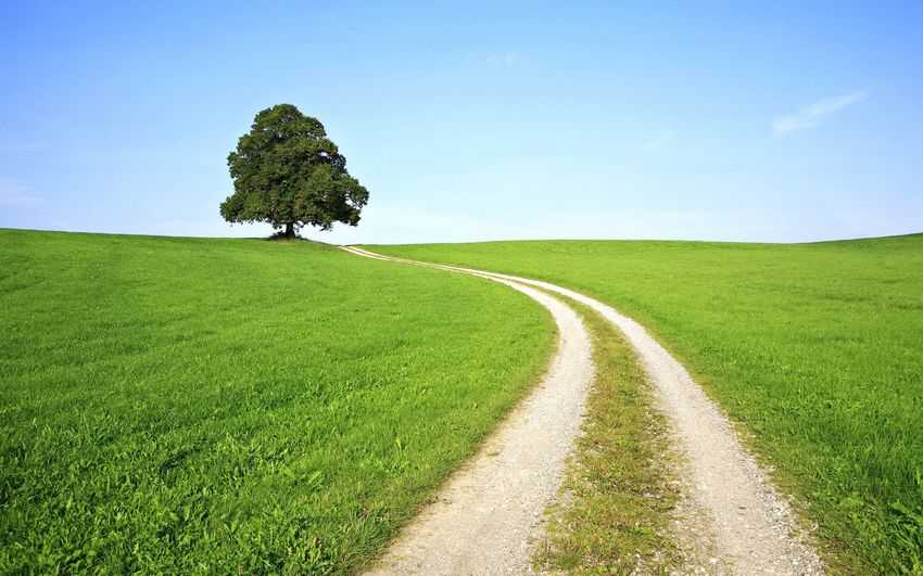 path